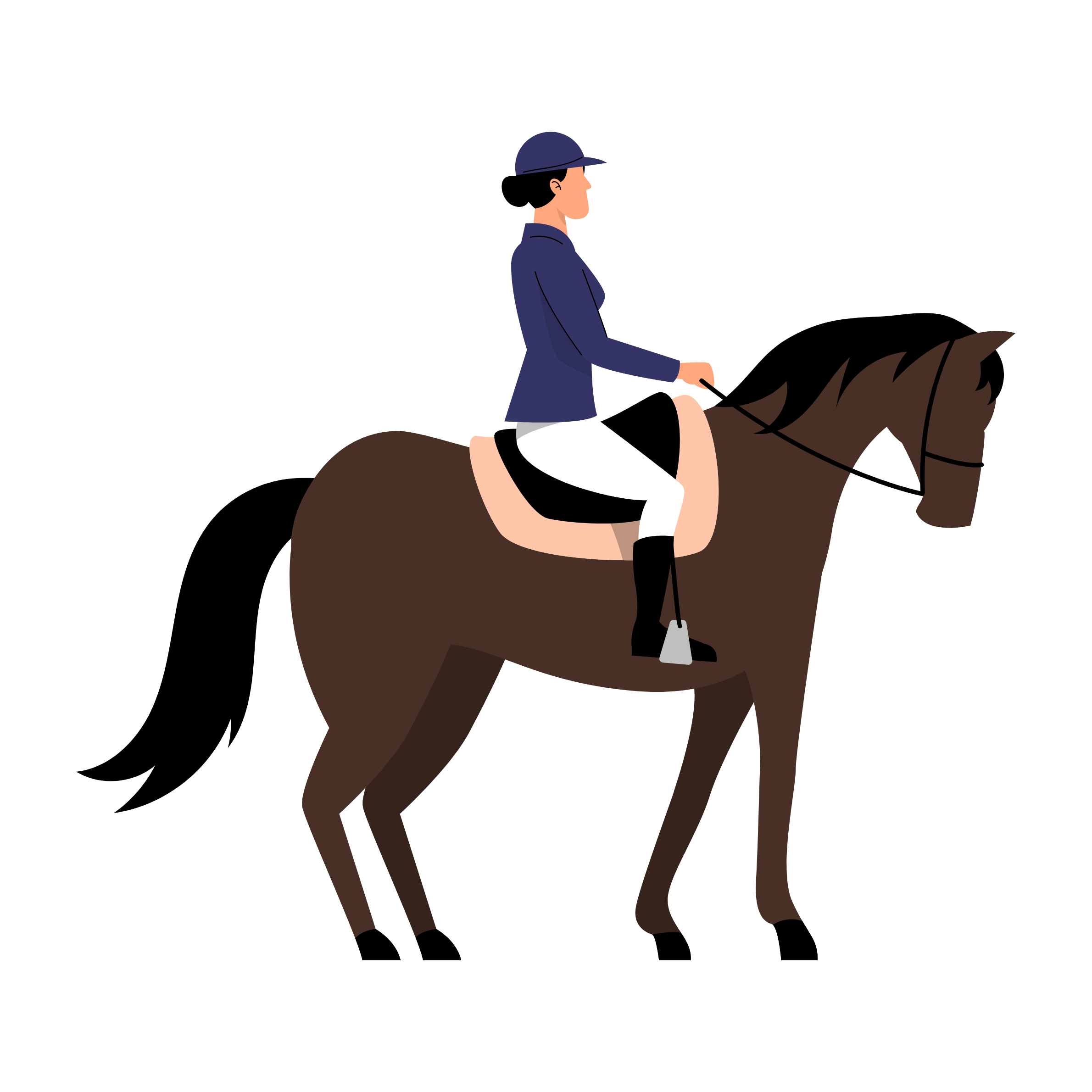 Horse and rider